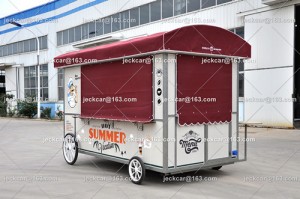 Customized food cart trailer